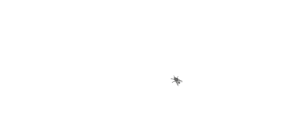 mosca gif animado